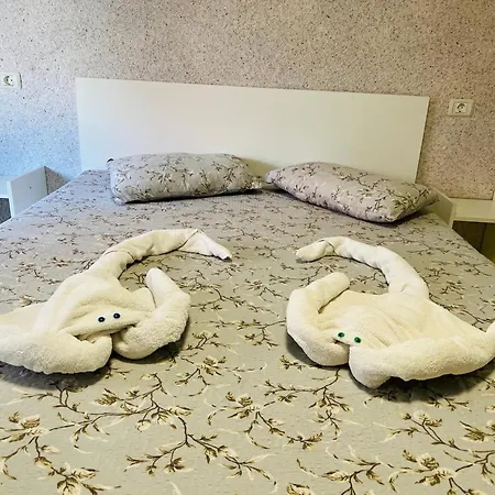 Amalya Guest house